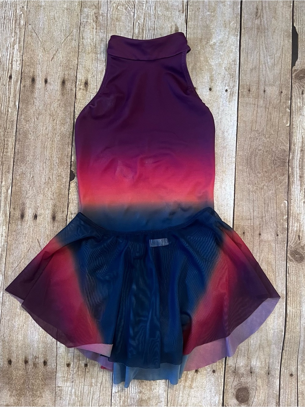 Elevé Ombré Leotard and Skirt